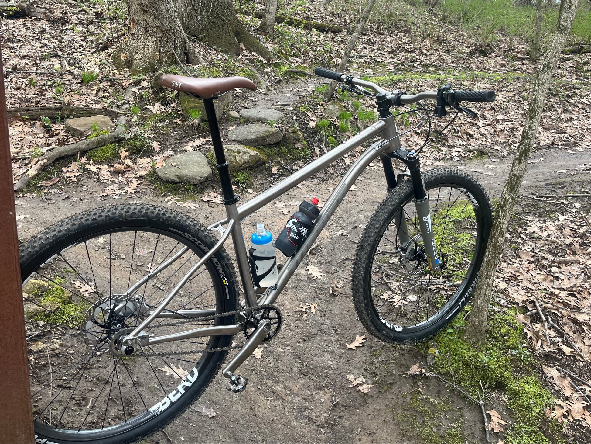 Gila in the forest