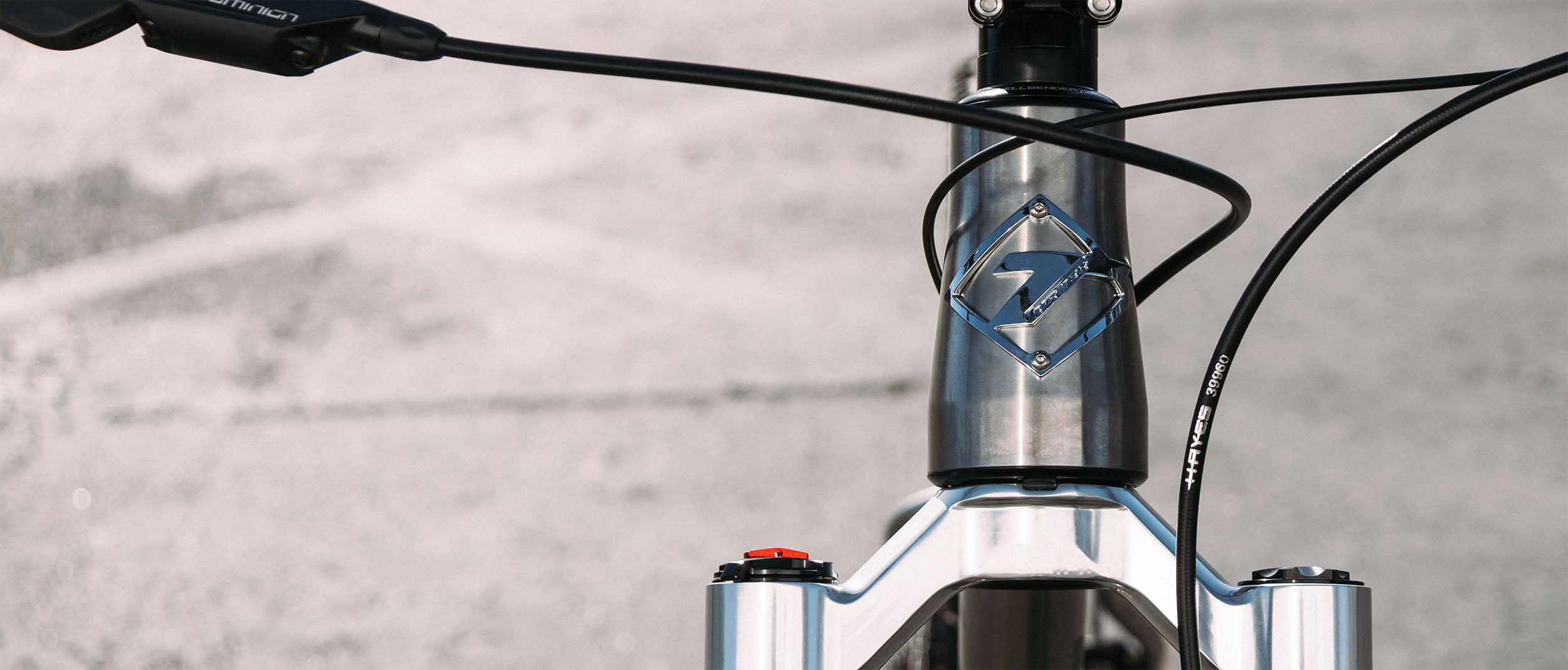 titanium head tube with turner badge